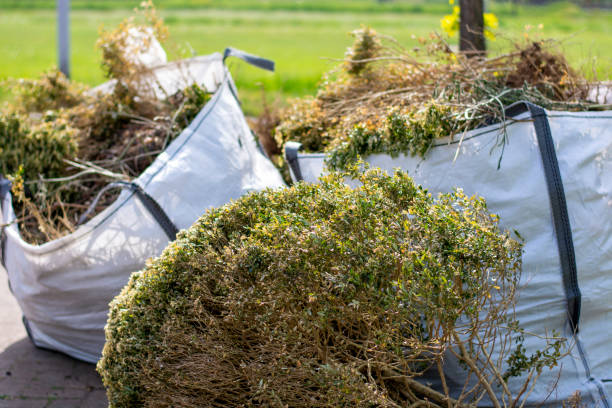 Household Junk Removal in Richwood, NJ